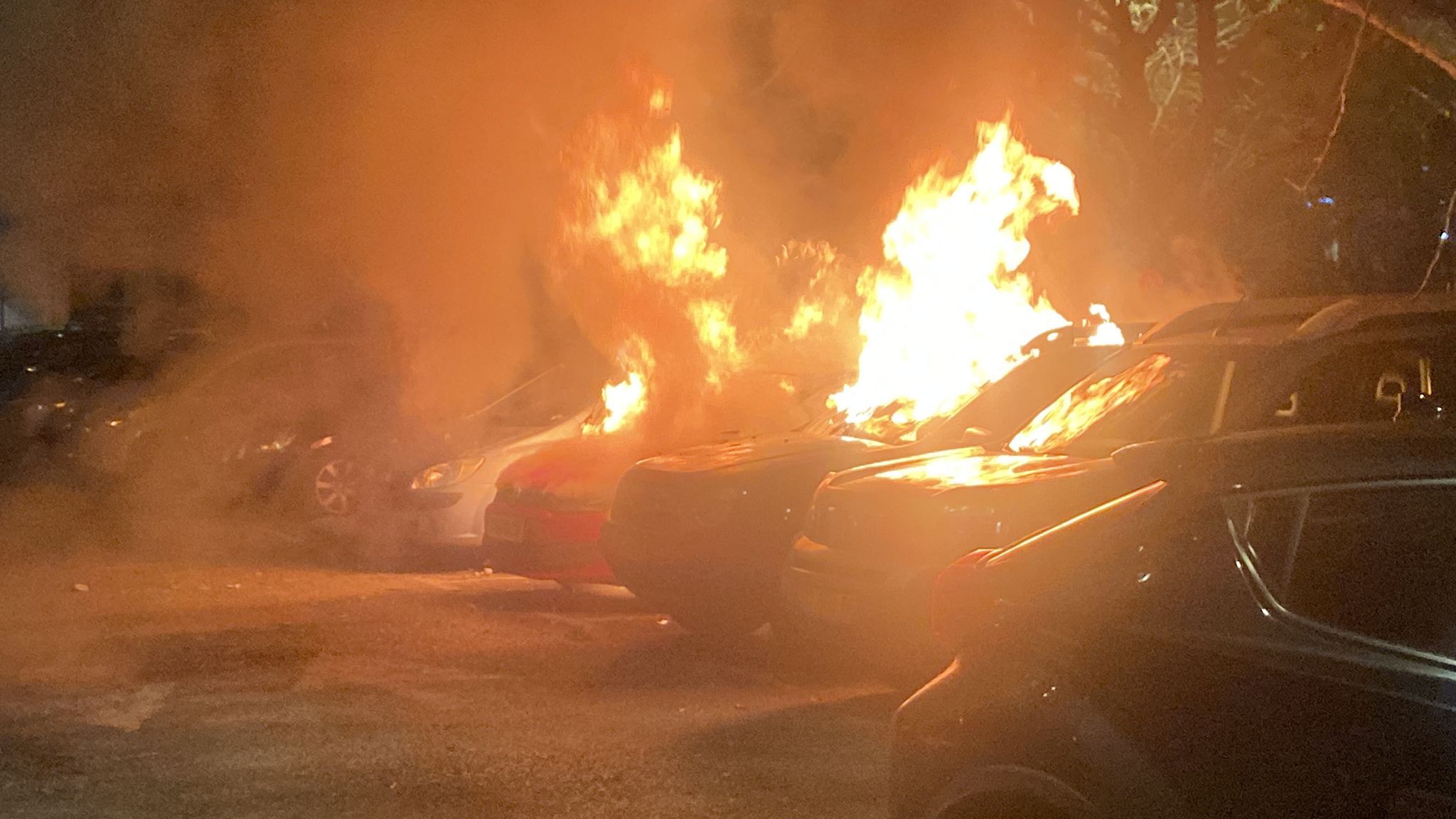 WhatsApp Image 2022-02-12 at 10.28.15 PM (1).jpeg